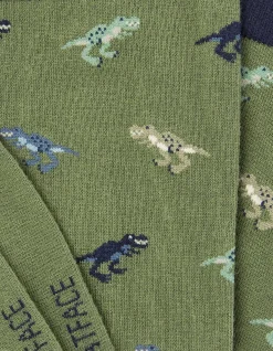 1 Pack Dinosaur Socks