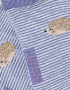 1 Pack Hedgehog Stripe Trainer Socks
