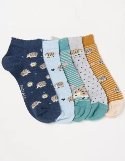 5 Pack Hedgehog Trainer Socks