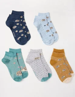 5 Pack Hedgehog Trainer Socks