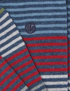 1 Pack Lucien Stripe Socks