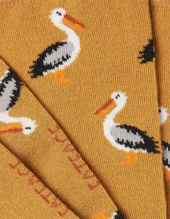 1 Pack Pelican Socks