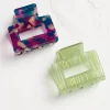 2 Pack Resin Claw Clip