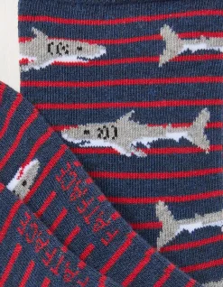 1 Pack Shark Socks