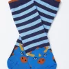 1 Pack Triceratops Socks