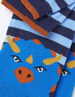 1 Pack Triceratops Socks