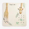 Giraffe Milestone Blanket