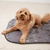 Marching Dogs Pet Blanket