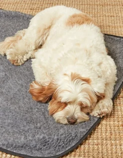 Marching Dogs Pet Blanket