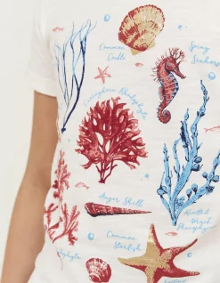Marine Conservation Society Sealife Graphic T-Shirt
