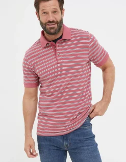 Organic Cotton Stripe Polo