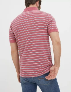Organic Cotton Stripe Polo
