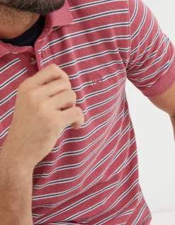 Organic Cotton Stripe Polo