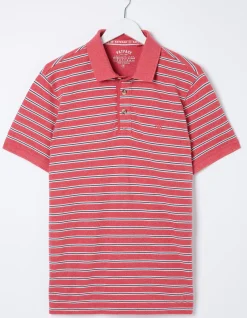Organic Cotton Stripe Polo