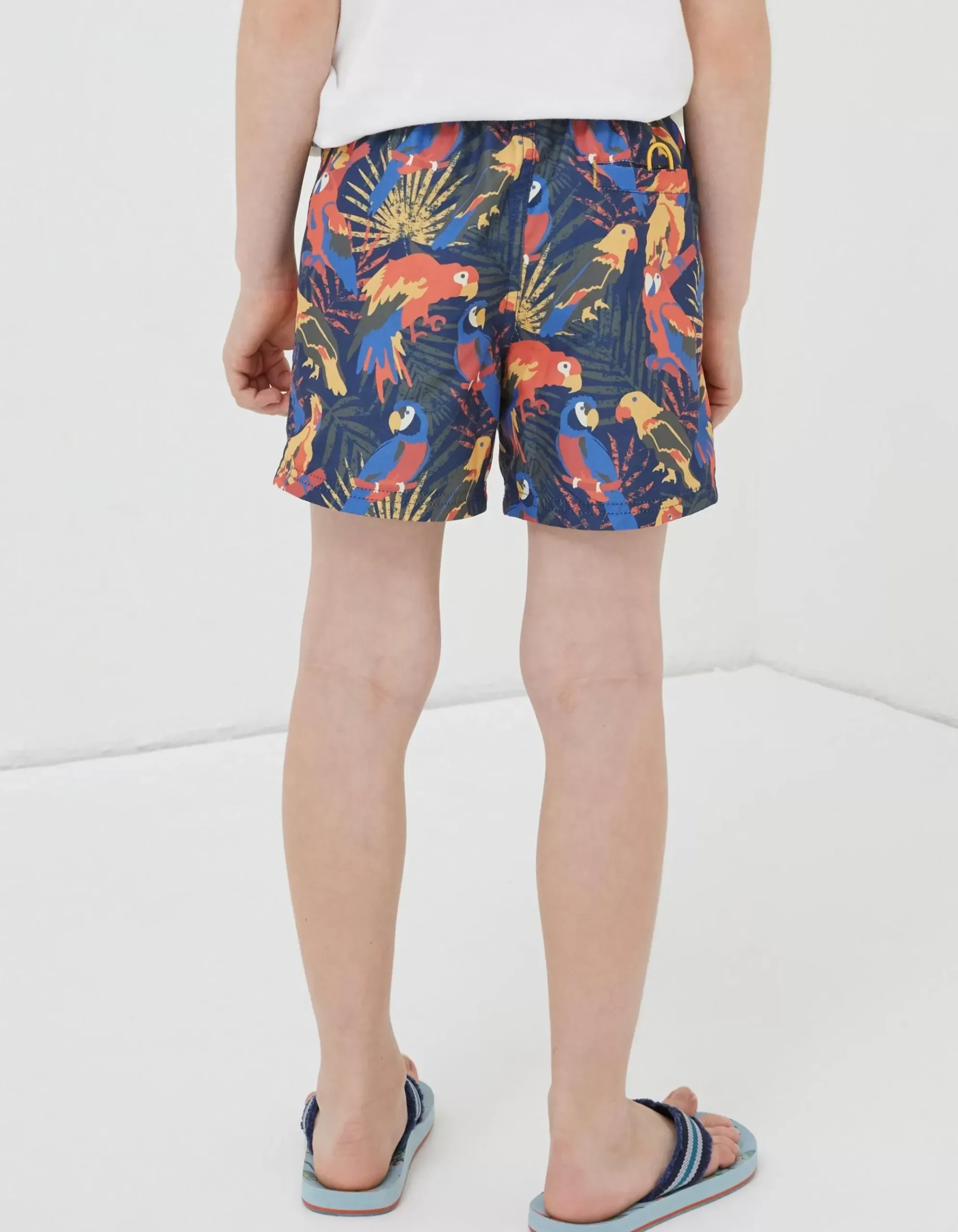 Parrot Swim Shorts