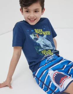 Shark Graphic Boardies