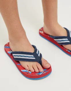 Sidney Shark Flip Flop