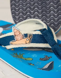 Snail And The Whale Flip Flops