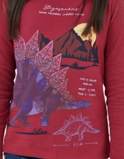 Stegosaurus Graphic T Shirt