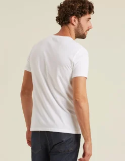 Three Pack Crew Neck T-Shirts