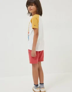 Vw Sun Graphic Jersey T-Shirt