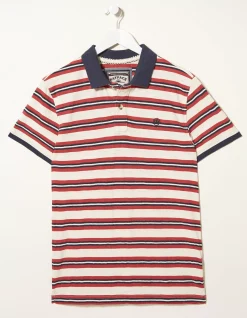Worthing Stripe Polo